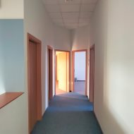 Lokal na wynajem