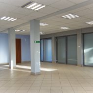 Lokal na wynajem