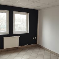 Lokal na wynajem