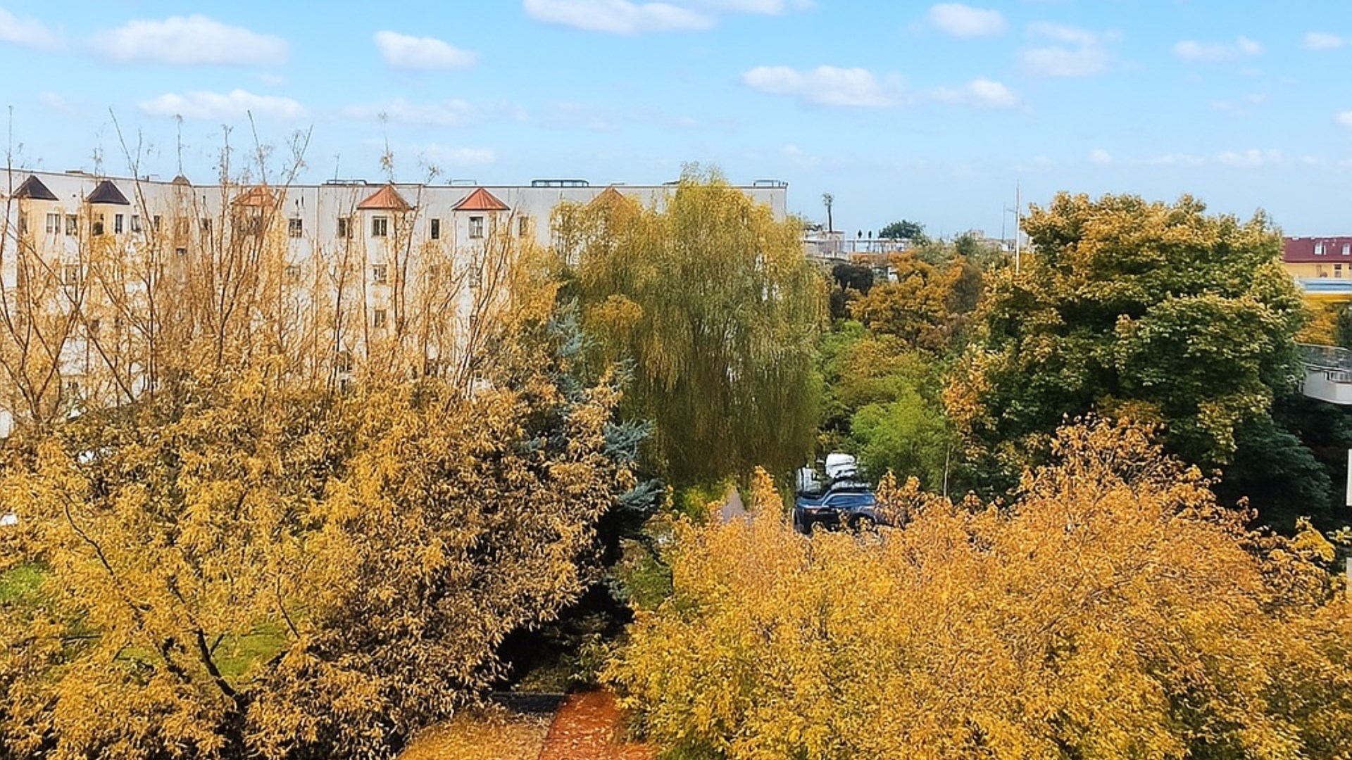 Kawalerka na Górzyskowie!