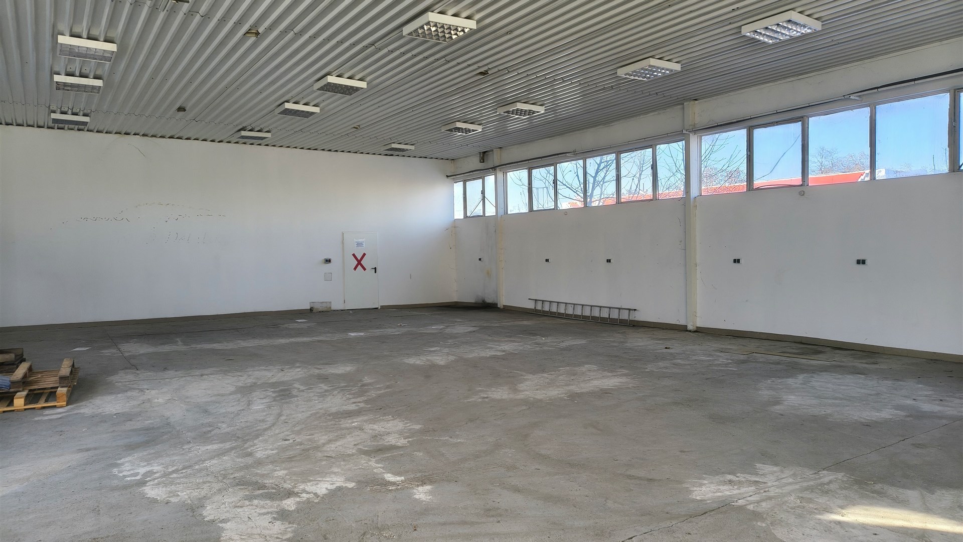 Hala - pow. 265 m2