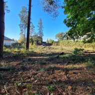 Działka 666 m2 - Smukała | media w drodze + las|