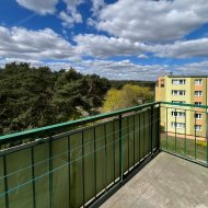 Dwa pokoje po remoncie - widok na park! 