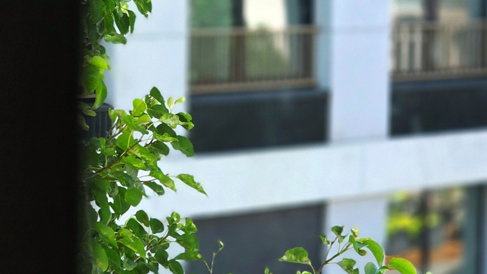 Klasyczna Architektura|Współczesny Komfort|30,46m2