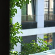 Klasyczna Architektura|Współczesny Komfort|30,74m2