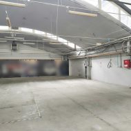 Hala  300 m2, ogrzewana.